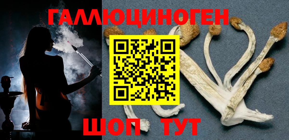Нововоронеж  Галлюциногенные грибы Psilocybe  Вход с VPN 