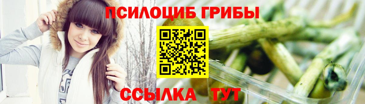 Галлюциногенные грибы Magic Shrooms Нововоронеж